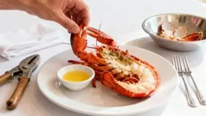 1/2 lobster on white plate with drawn butter